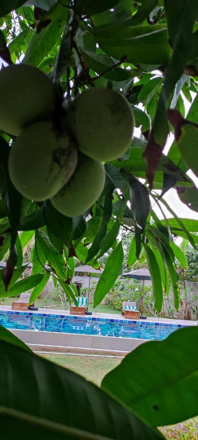 Mango Tree Villa ベントータ エクステリア 写真